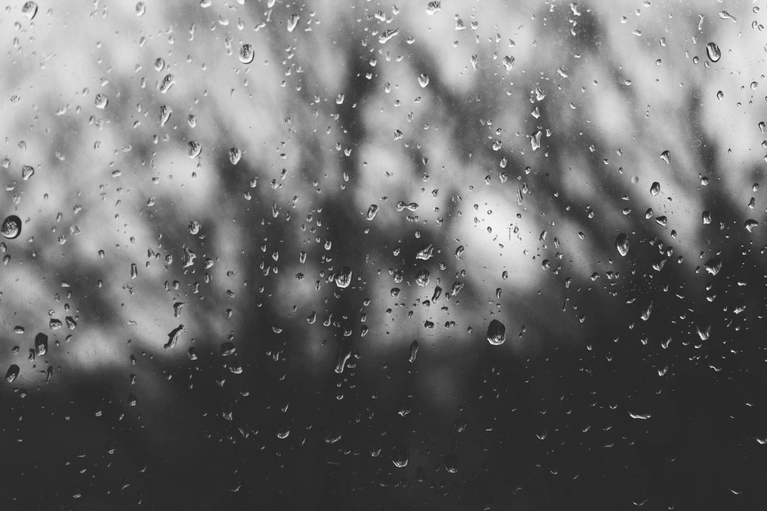 Rain falling across a Pacific Northwest street, the weather that drives exterior wood rot in Seattle