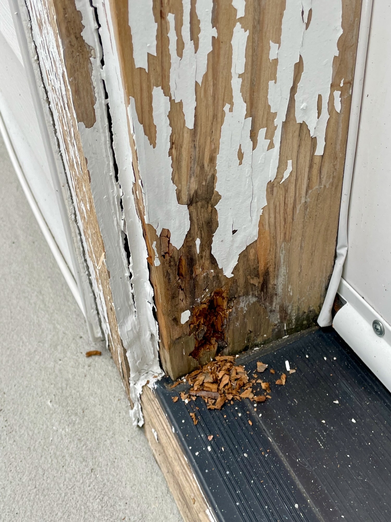 Peeling paint and rotted wood at the base of an exterior door jamb, with rot debris on the threshold