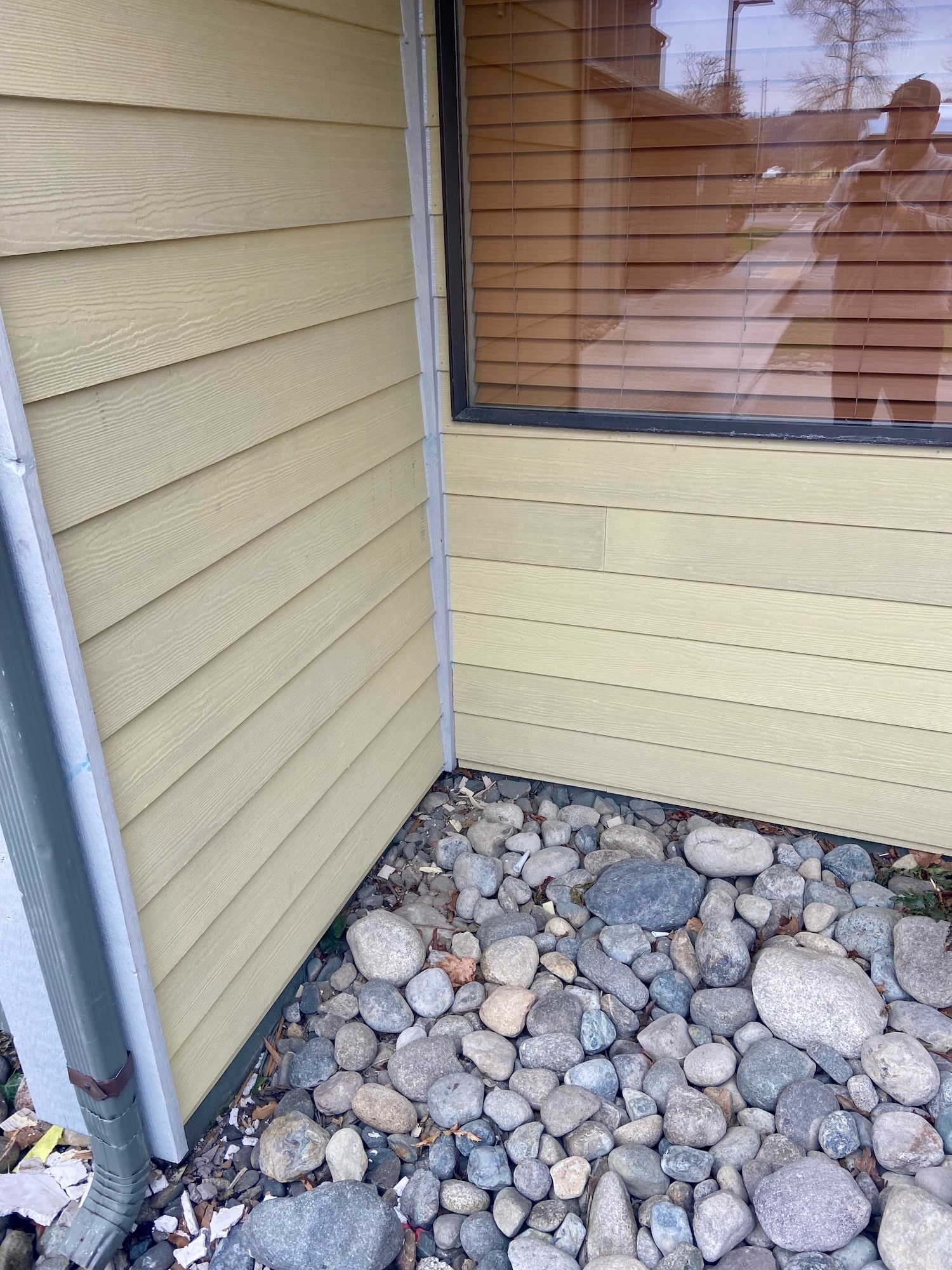 Dry rot and exterior trim repair on a Seattle-area home (photo 37 of 50)