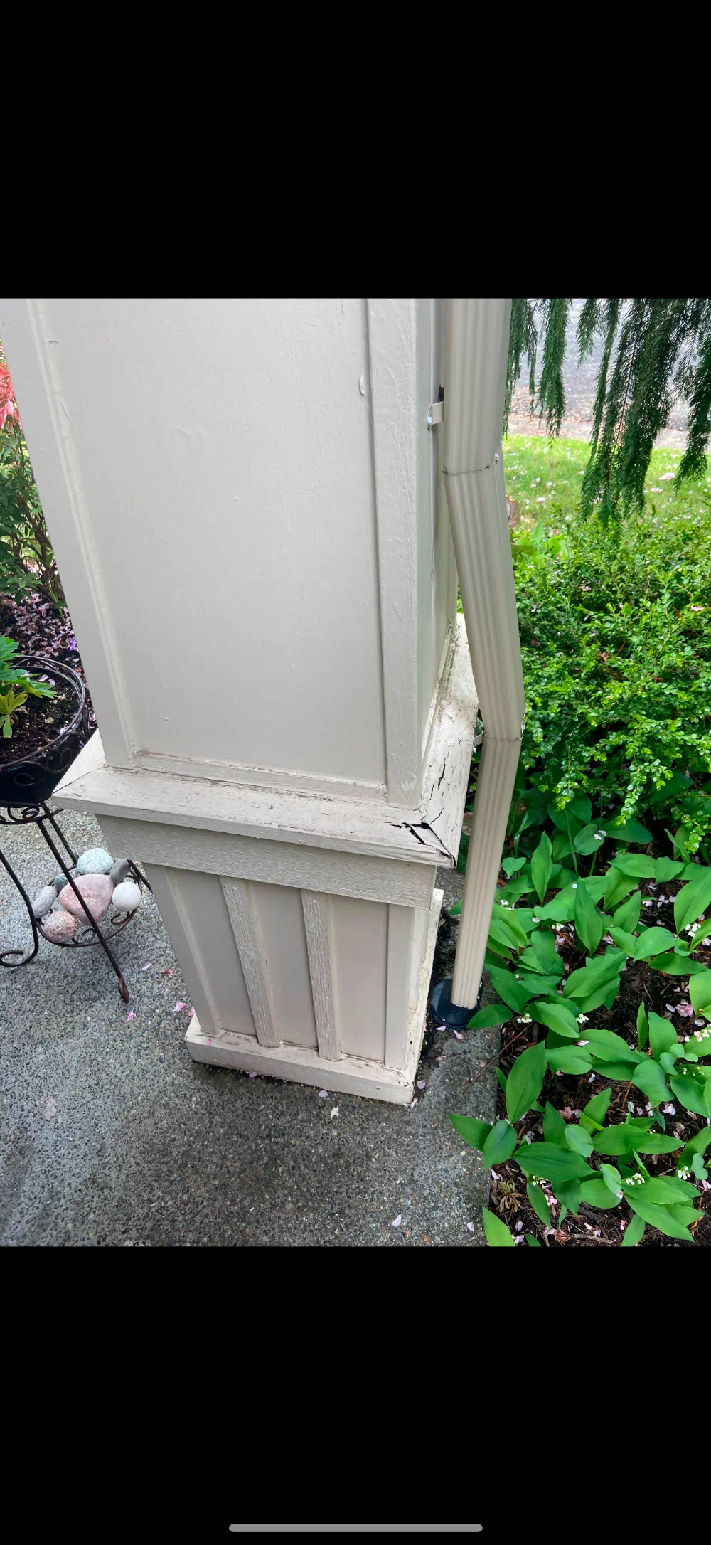 Finished siding and exterior trim on a Seattle-area building (photo 1 of 6)