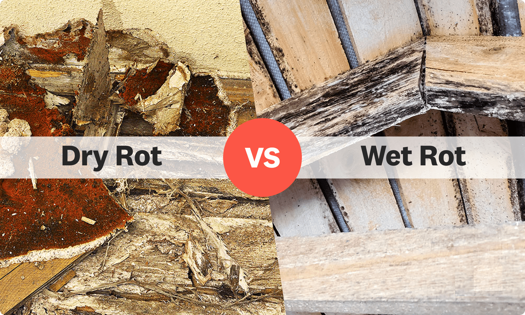 Side-by-side comparison showing dry rot cubical cracking versus wet rot linear grain damage