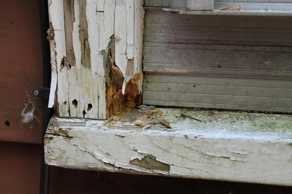 Close-up of fascia board and soffit trim being inspected for rot damage