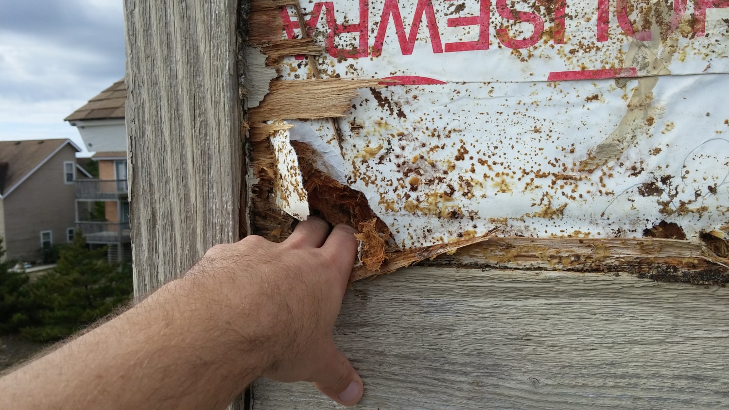 Moisture meter testing wood siding for elevated moisture levels that lead to dry rot